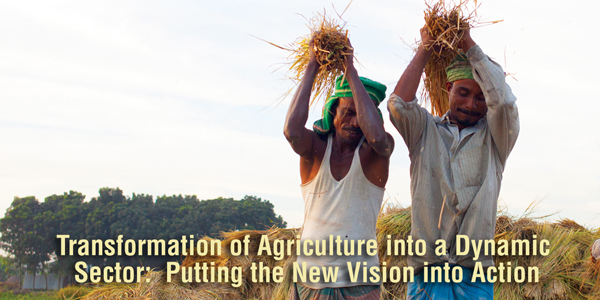 Transformation of Agriculture into a Dynamic Sector: Putting the New Vision into Action