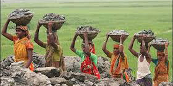 Employment created for 5,000poor women under climate project