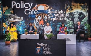 Policy café ‘Spotlight on Wildlife Exploitation’